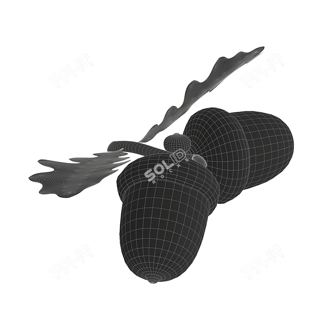 Leafy Delights: Dried Acorns for Natural Crafts 3D model image 2