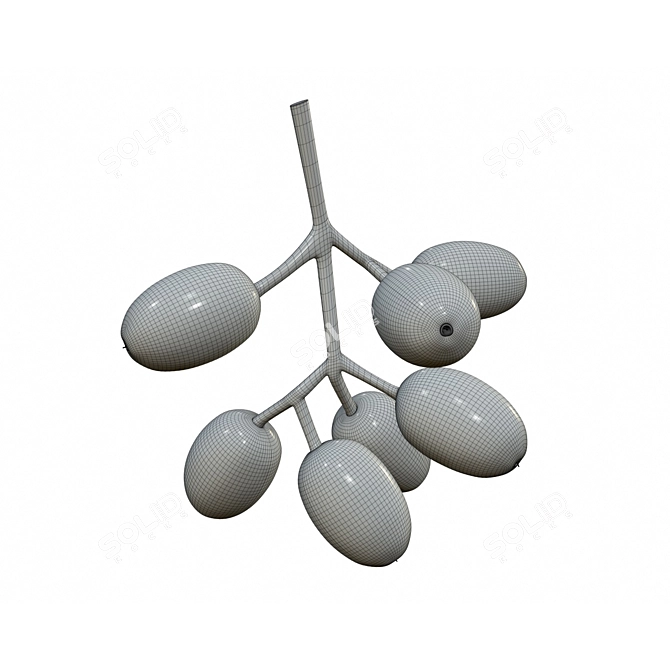 Tasty Jambolan Plums with Stem 3D model image 2