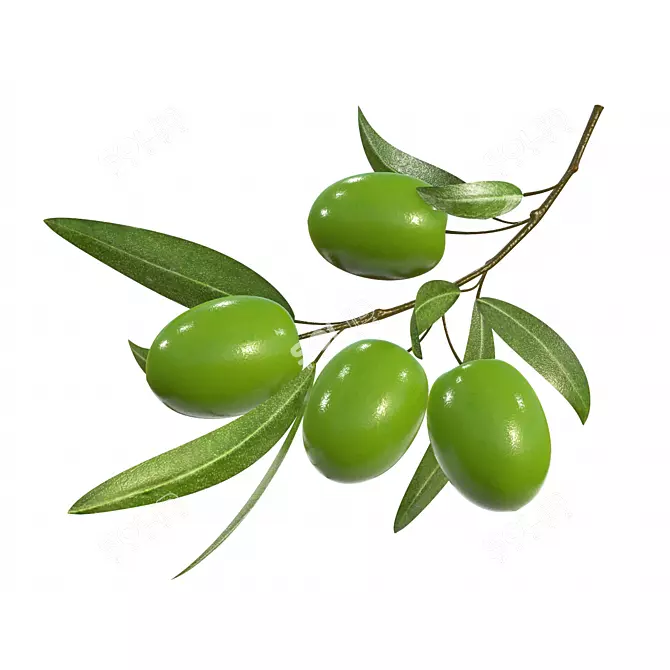 Graceful Olive Branch: PBR Textures 3D model image 1