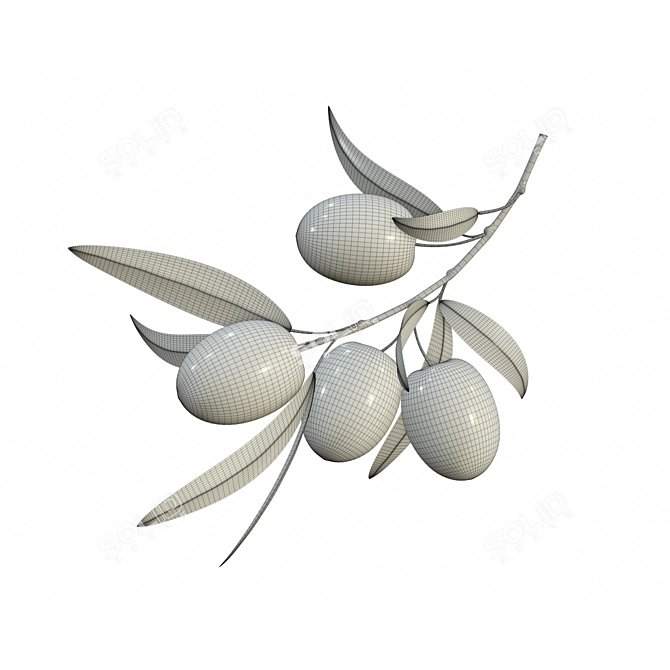 Graceful Olive Branch: PBR Textures 3D model image 2