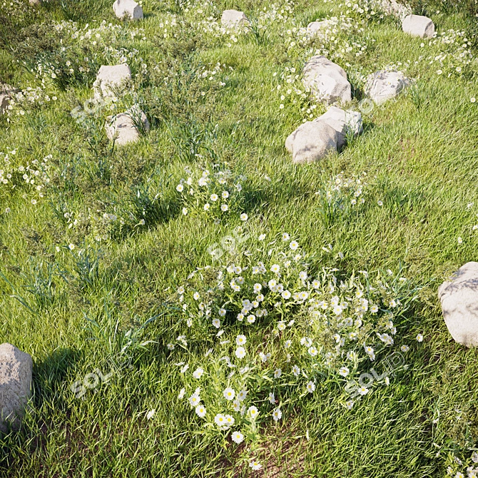 LushLandscaping Set02: Realistic Translucent Grass 3D model image 1