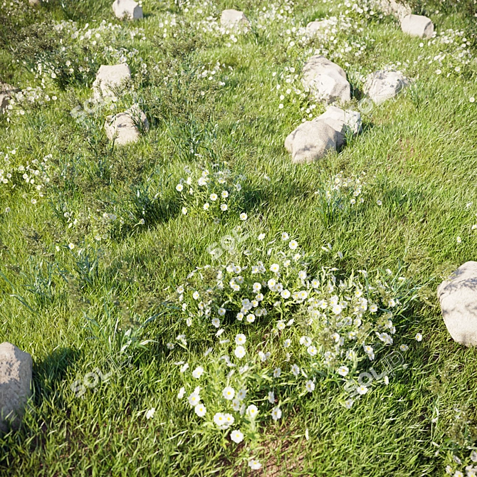 LushLandscaping Set02: Realistic Translucent Grass 3D model image 2