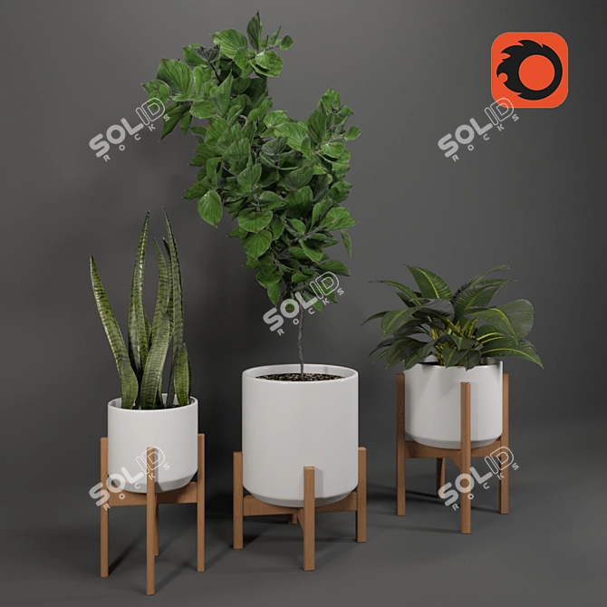 Tropical Oasis Collection - Set of 4 Indoor Plants 3D model image 2