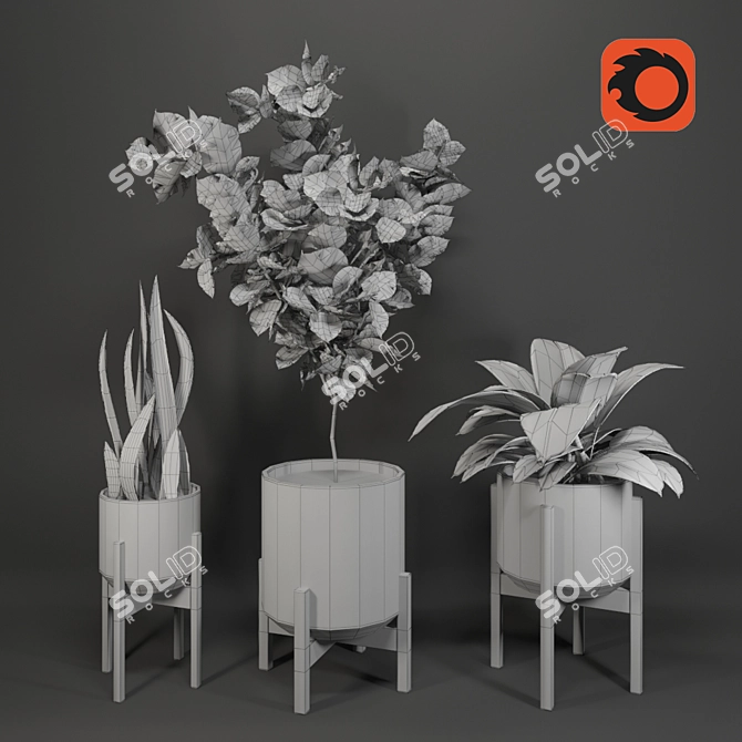 Tropical Oasis Collection - Set of 4 Indoor Plants 3D model image 3