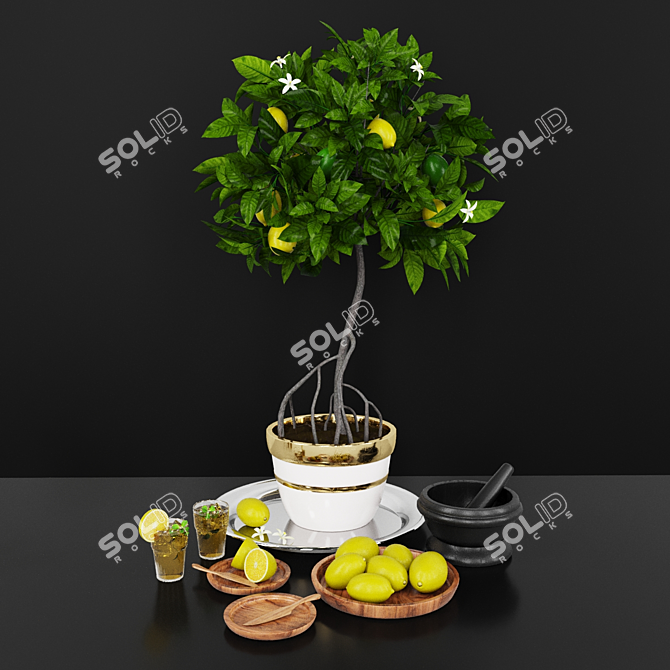 Luxury Lemon Tree: Decorative Set 3D model image 1