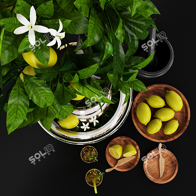 Luxury Lemon Tree: Decorative Set 3D model image 2