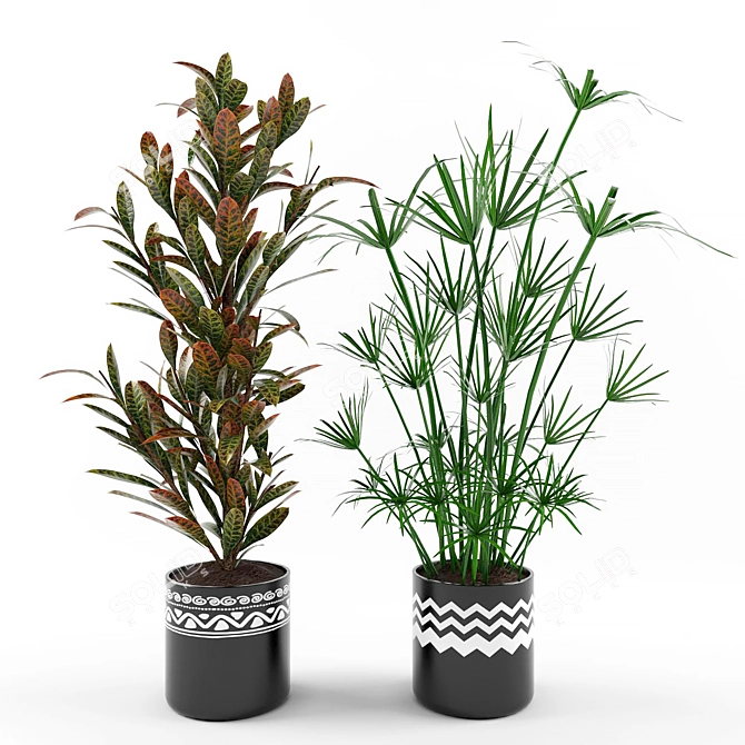 Tropical Plant Collection: Croton & Umbrella Papyrus 3D model image 1