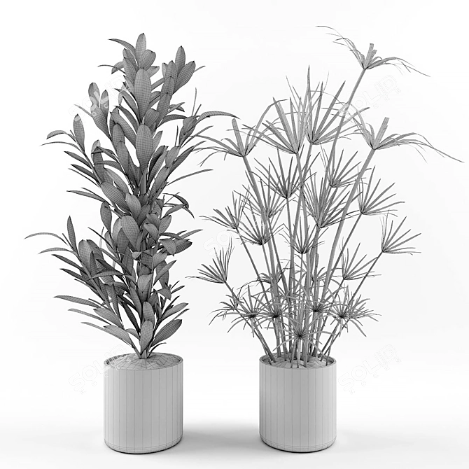 Tropical Plant Collection: Croton & Umbrella Papyrus 3D model image 2