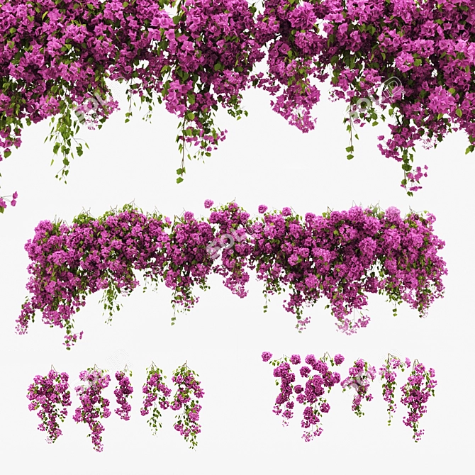 Blooming Bougainvillea Climber: Beautifully Realistic 3D Floral Vine 3D model image 1