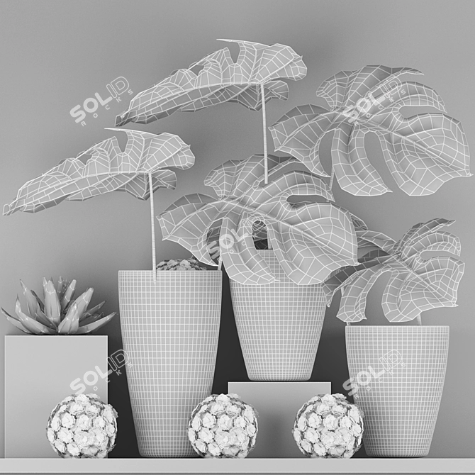 Indoor Greenery Collection 3D model image 3