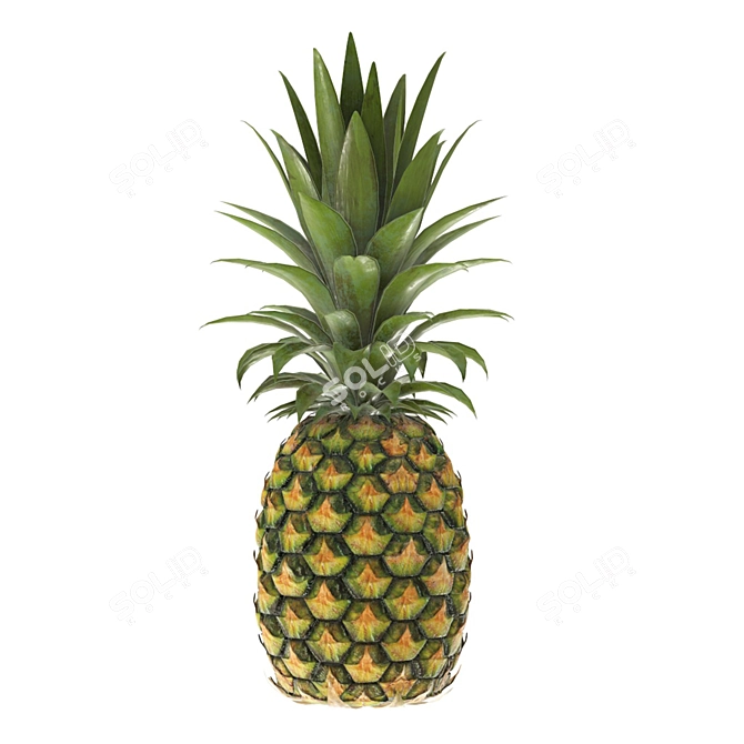 Tropical Pineapple 4k PBR 3D model image 1