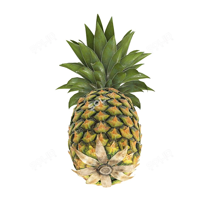 Tropical Pineapple 4k PBR 3D model image 2