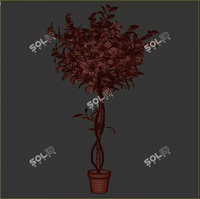 Blooming Beauty: Camellia Tree in Pot 3D model image 3