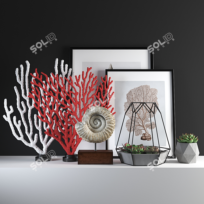 Coral2 Set: High Poly 3D Models 3D model image 1