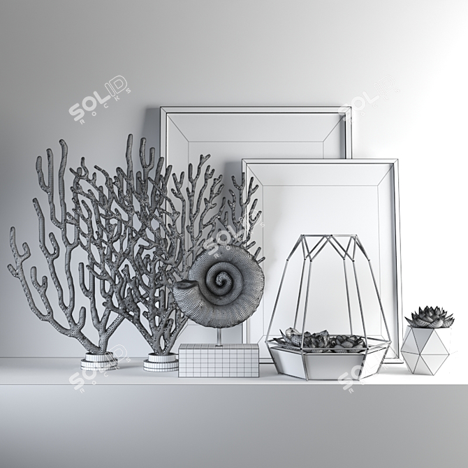 Coral2 Set: High Poly 3D Models 3D model image 3