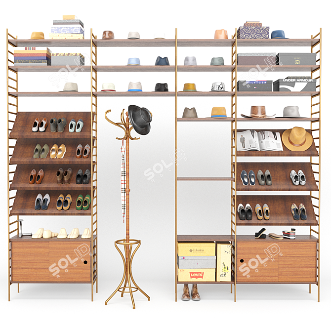 Hall Tree Shoe Storage Solution 3D model image 1