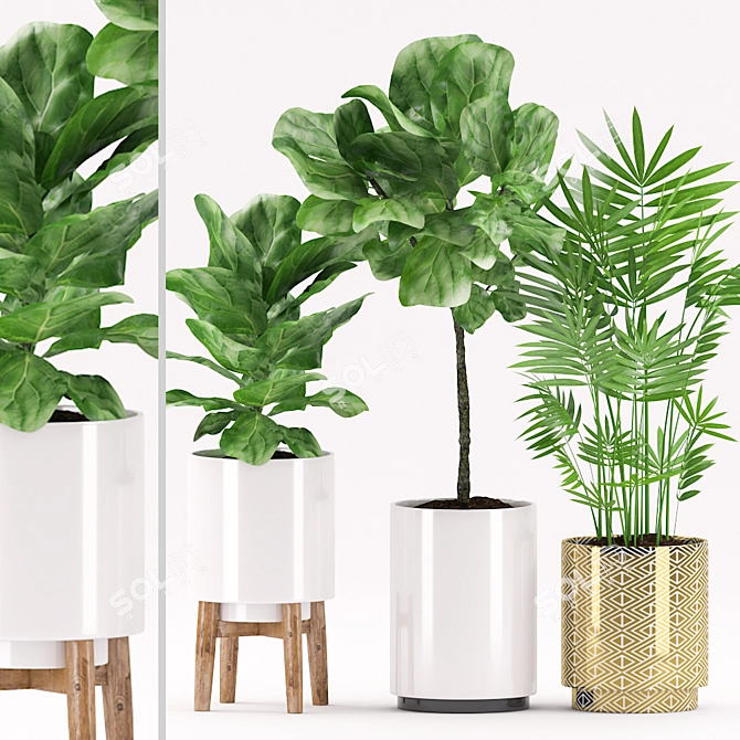 Ficus Pandurata & Palm Plants-152: Pot Varieties | 3D Max FBX 3D model image 1