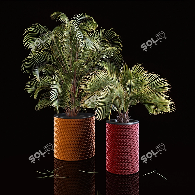 Tropical Palms in Woven Planters 3D model image 1