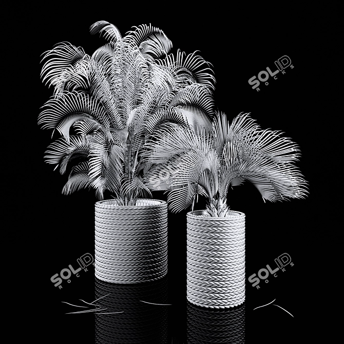 Tropical Palms in Woven Planters 3D model image 2