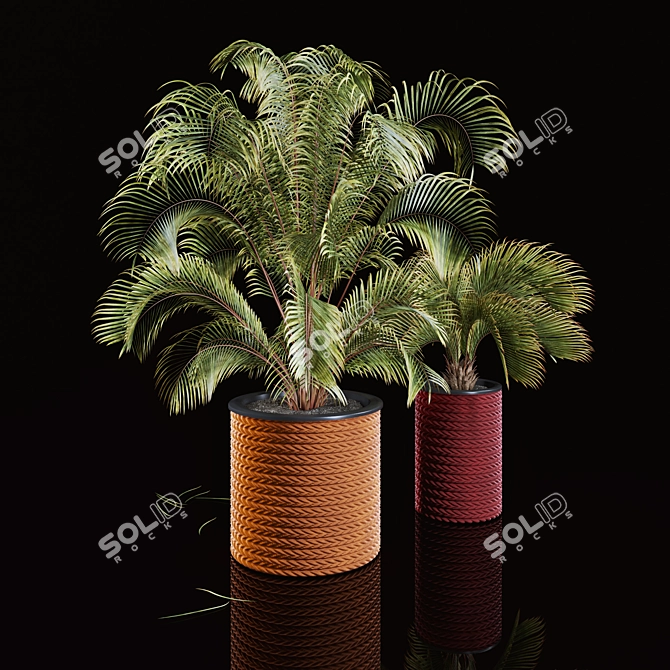 Tropical Palms in Woven Planters 3D model image 3