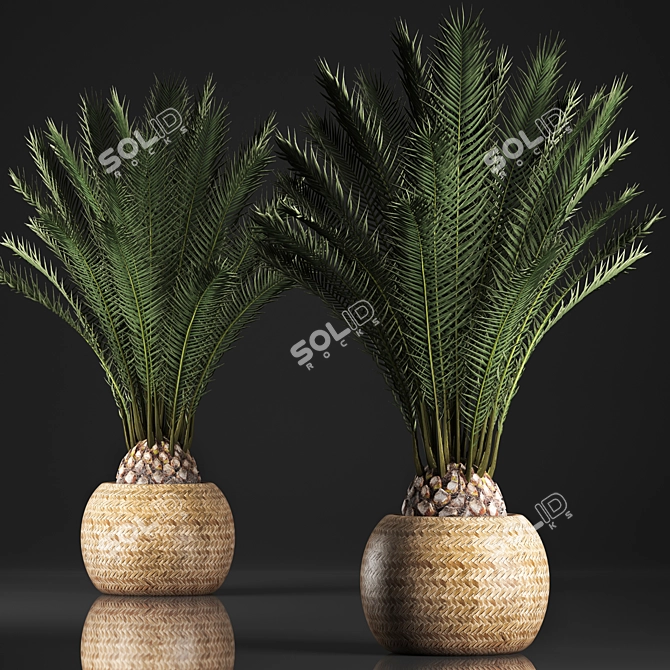 Exotic Houseplant Collection in Basket 3D model image 1