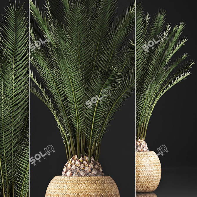 Exotic Houseplant Collection in Basket 3D model image 2