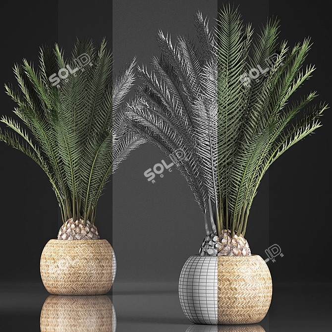 Exotic Houseplant Collection in Basket 3D model image 3