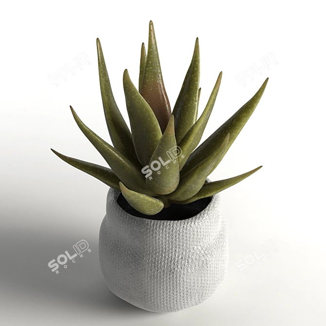 Realistic Faux Aloe Plant in Pot 3D model image 1