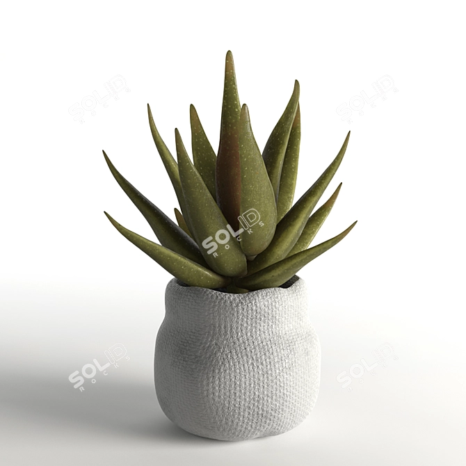 Realistic Faux Aloe Plant in Pot 3D model image 3