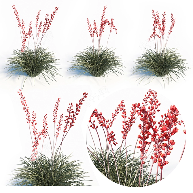 Red Yucca (Hesperaloe Parviflora) Set 3D model image 1