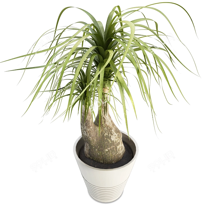 Beaucarnea Tree: Lifelike Interior Plant with Stoneware Pot 3D model image 1