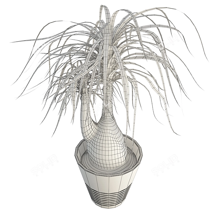 Beaucarnea Tree: Lifelike Interior Plant with Stoneware Pot 3D model image 2