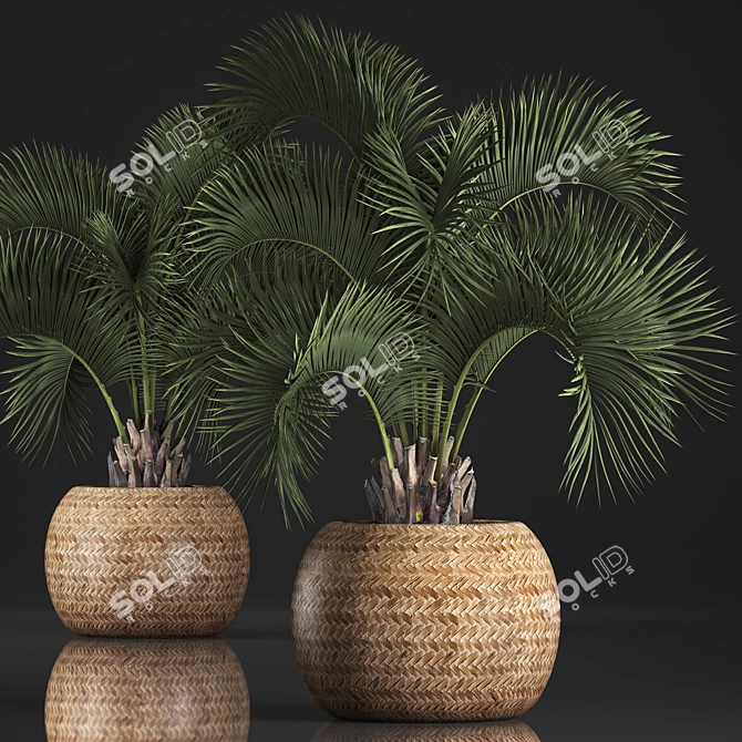 Exotic Houseplants Collection 3D model image 1