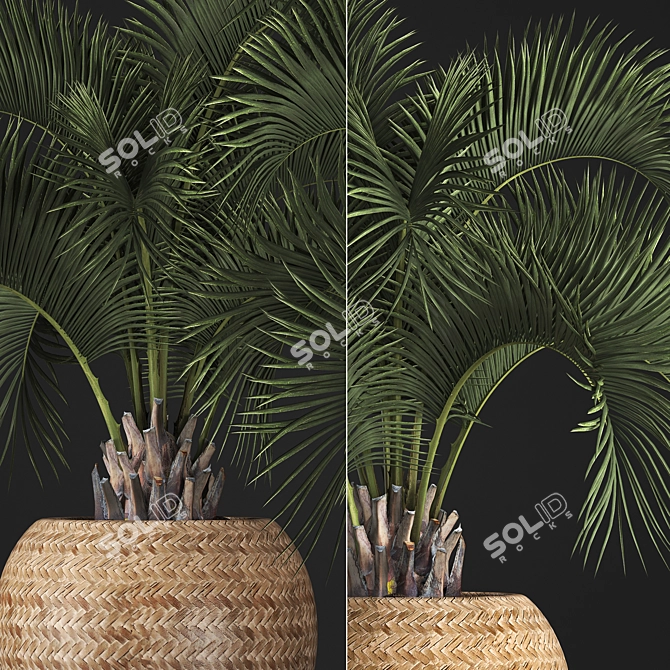 Exotic Houseplants Collection 3D model image 2