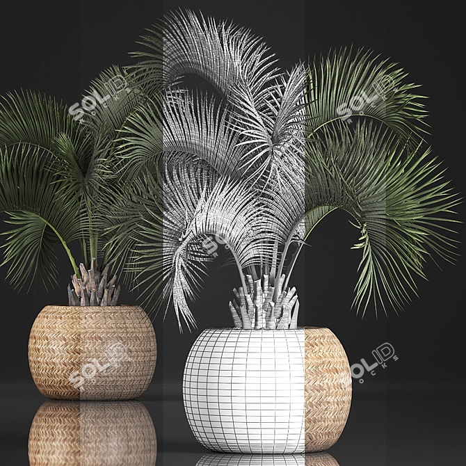 Exotic Houseplants Collection 3D model image 3