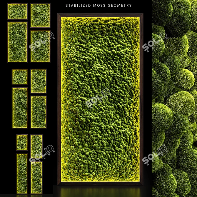 Stabilized Moss Wall with LED Lights - Modern Loft Decor 3D model image 1