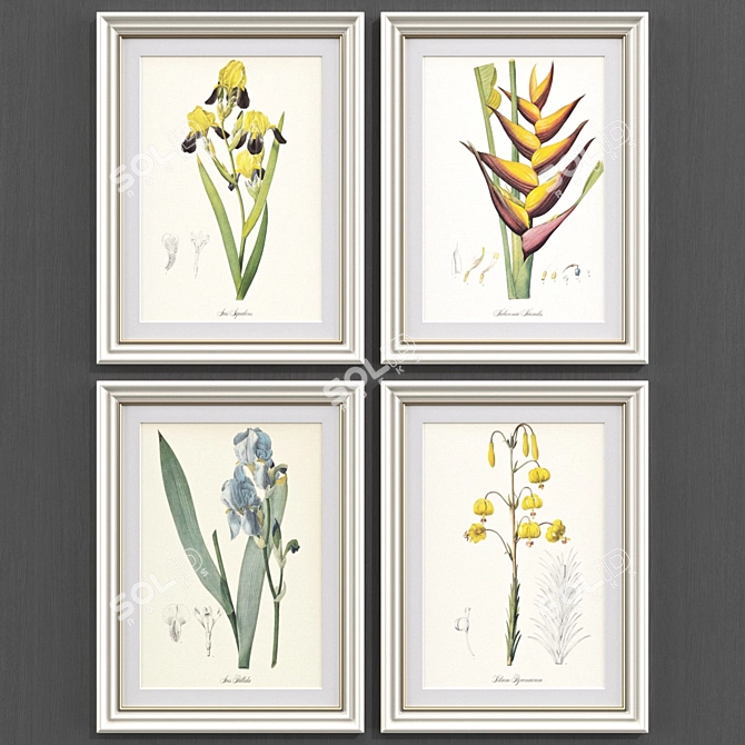 Modern Botanical Art Prints Set 3D model image 2