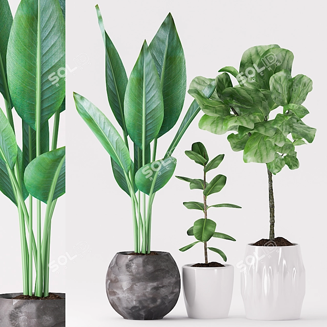 Tropical Greenery Ceramic Pot 3D model image 1