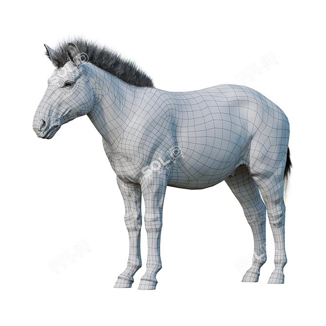 Zebra Model Kit: High-Quality 3D Sculpt with Textures & OBJ 3D model image 3