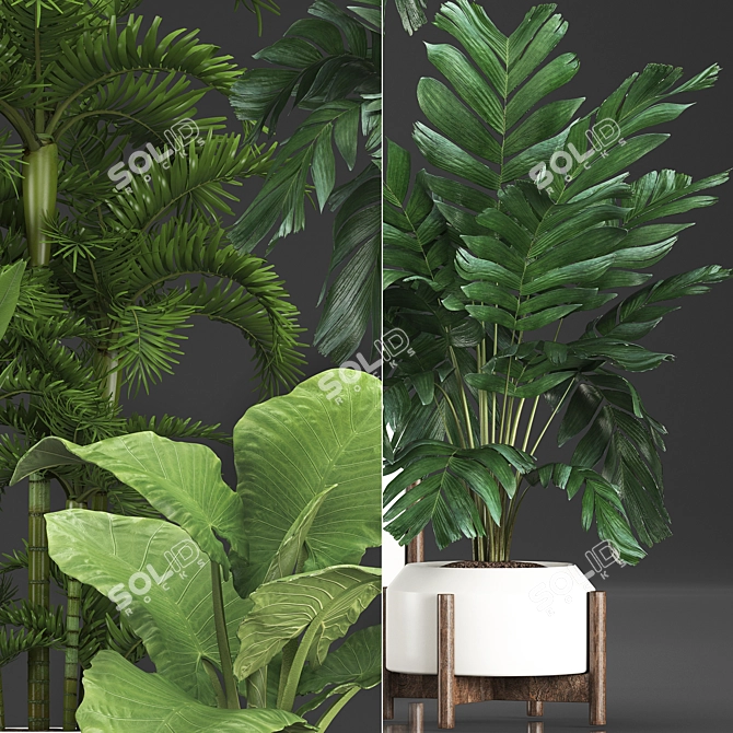 Exotic Houseplants Collection 3D model image 2