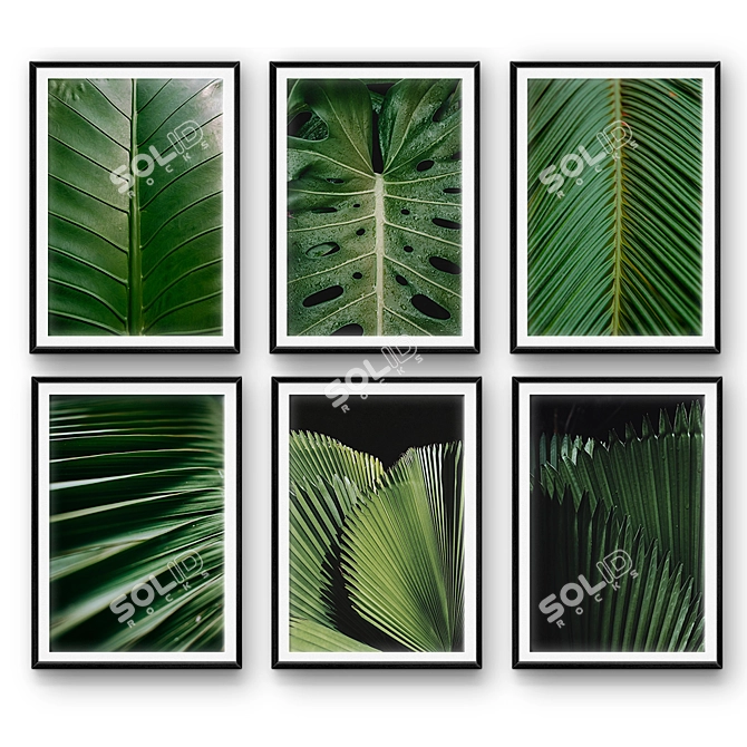 Tropical Leaf Set 31: Real-size 3D Models 3D model image 1