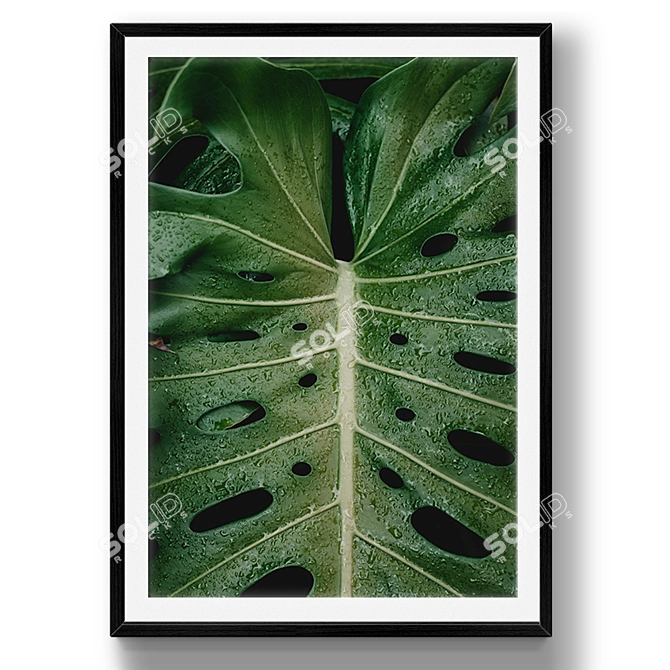 Tropical Leaf Set 31: Real-size 3D Models 3D model image 2