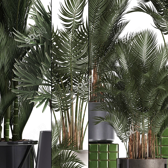 Exotic Palm Collection: Beautiful Houseplants for Interior Decoration 3D model image 2