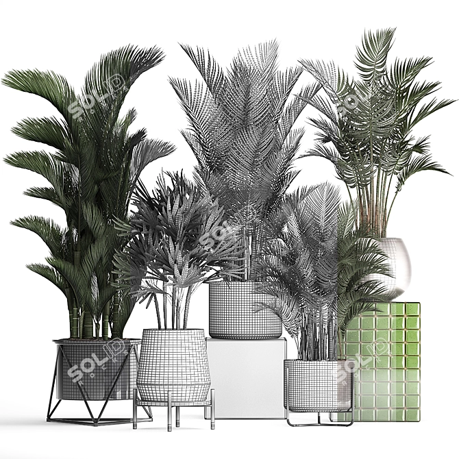 Exotic Palm Collection: Beautiful Houseplants for Interior Decoration 3D model image 3