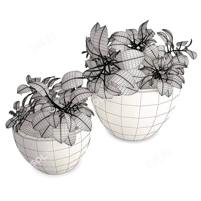 Modern Interior Flower Pot Set 3D model image 2