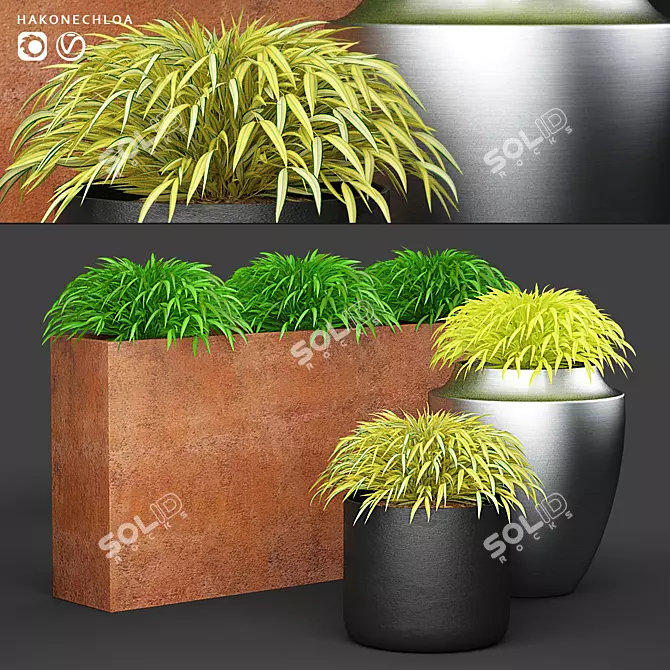 Title: Hakonechloa Grass in Pots | Planter Collection 3D model image 1