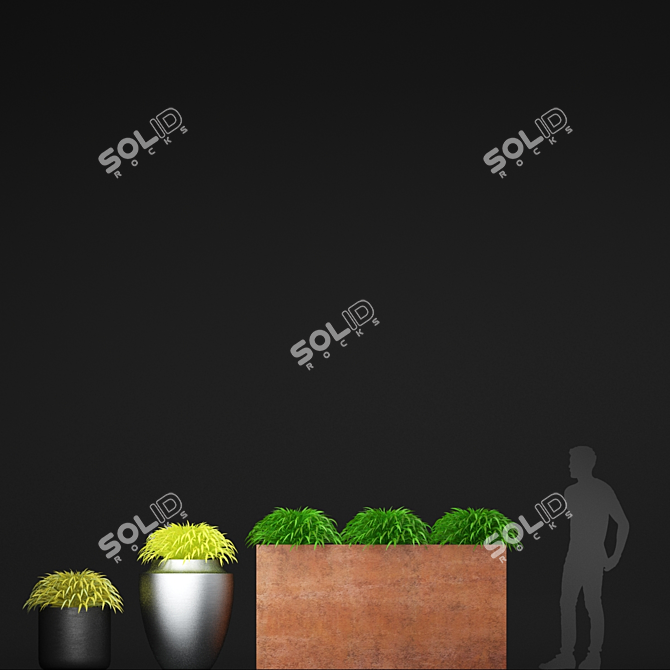 Title: Hakonechloa Grass in Pots | Planter Collection 3D model image 3