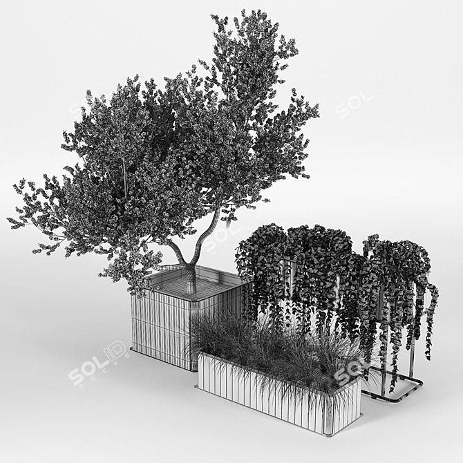 Teak Box and Frame Planters | Flowerbox Combine 3D model image 3