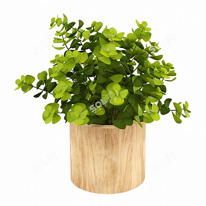 Eucalyptus Bonsai: Faux Naturalist Elegance 3D model image 1