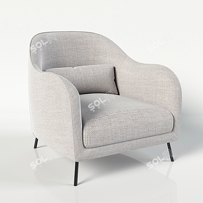 Karin Lounge Chair: Stylish and Comfortable 3D model image 1